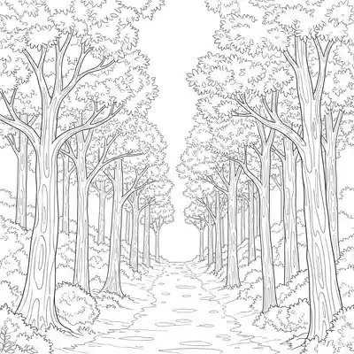 Forest Path Line Art Coloring Page (4)