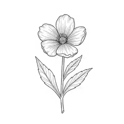 Realistic Botanical Flower Coloring Page (2)